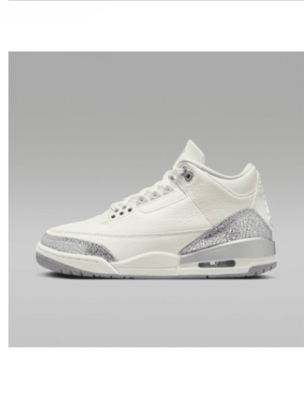 Nike Air Jordan 3 Sport Renaissance